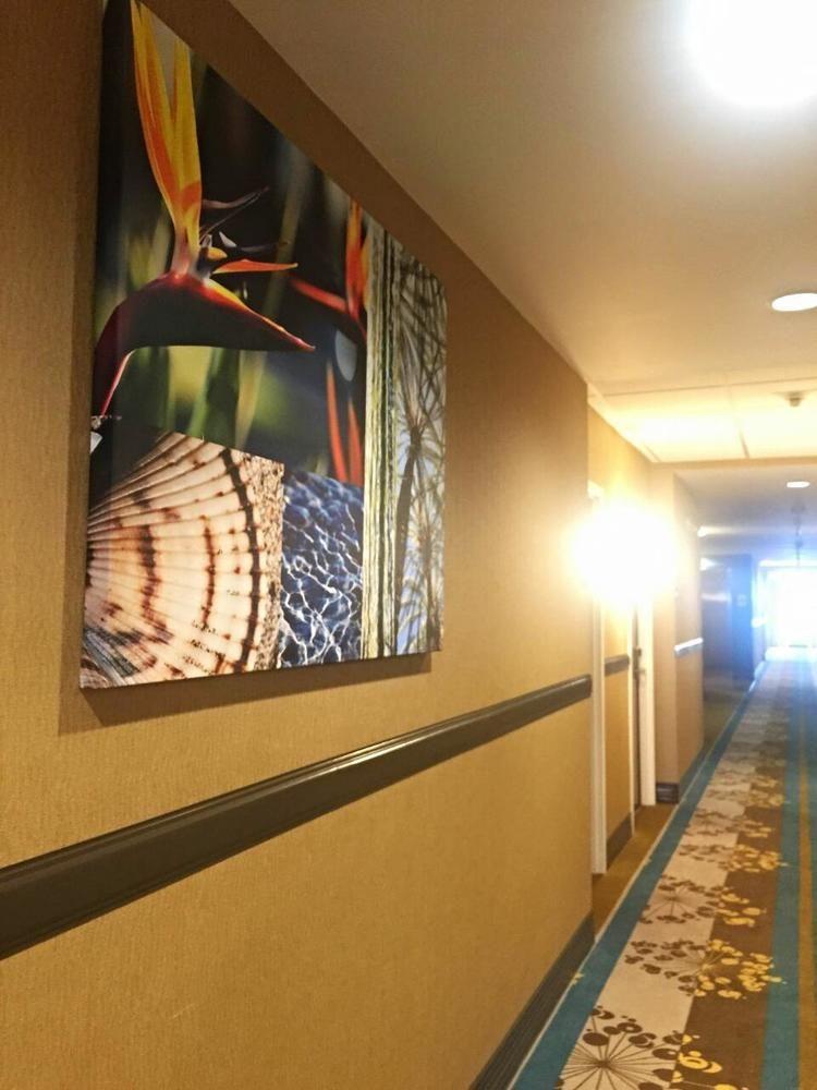 Best Western Plus Miami Executive Airport Hotel And Suites Country Walk Kültér fotó