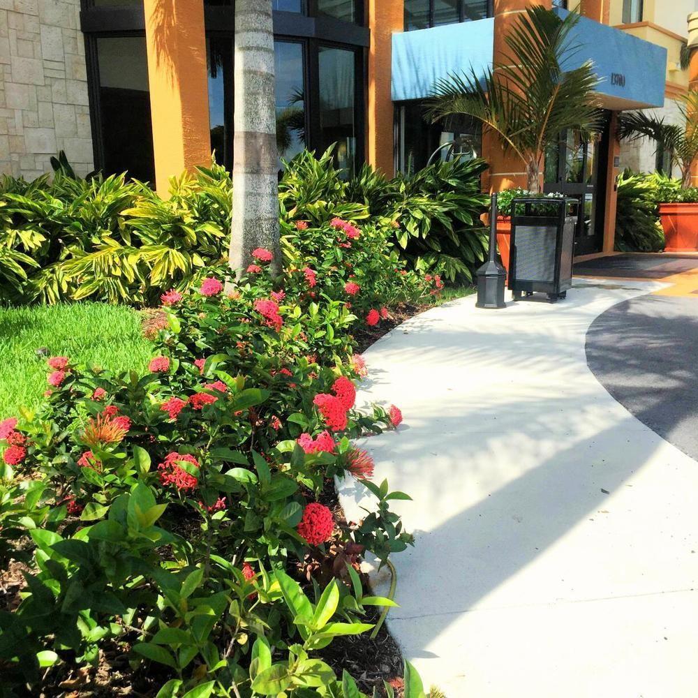 Best Western Plus Miami Executive Airport Hotel And Suites Country Walk Kültér fotó